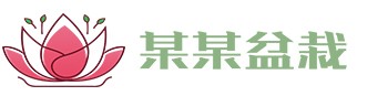 利发国际app-利发国际app最新版V6.57.65-绿色资源网